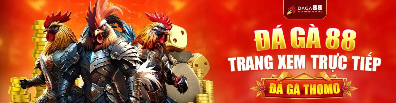 Đá gà trực tuyến kịch tính tại rr88bet win