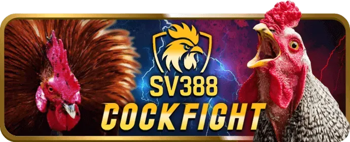 Ứng dụng di động rr88bet win trên điện thoại